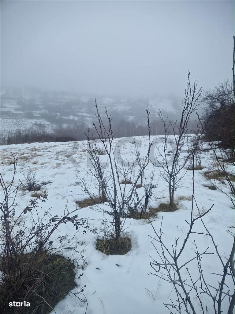 Fotografia postării
