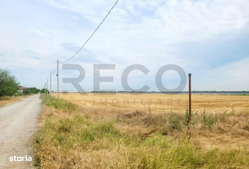 Fotografia postării