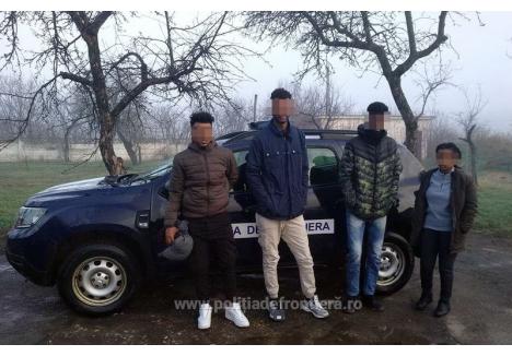 Fotografia postării